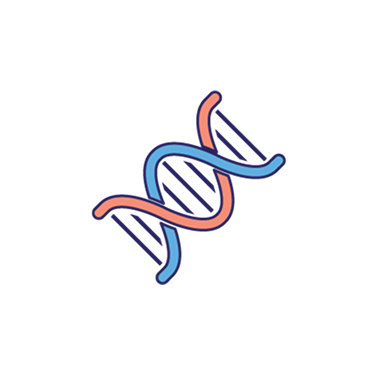 Icon representing a blue and red DNA strand, against a white background.